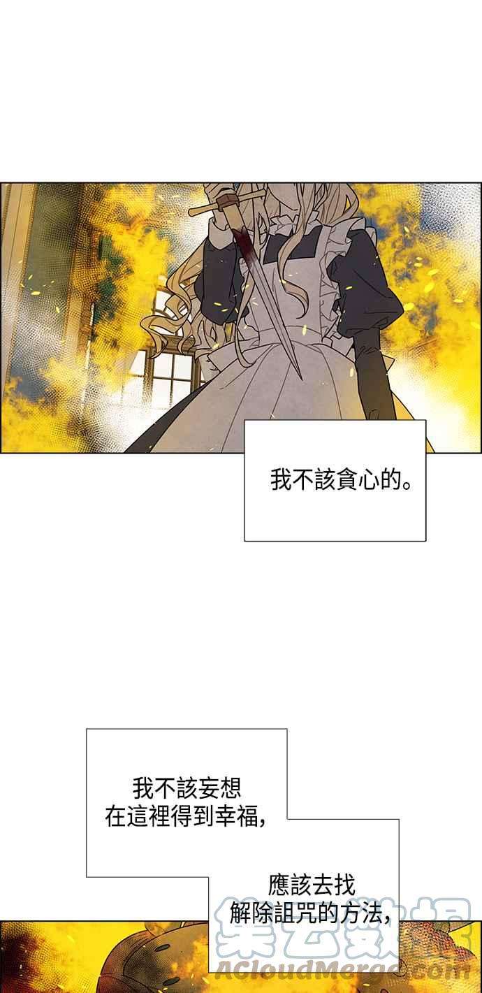 我夺走了公爵的初夜71话