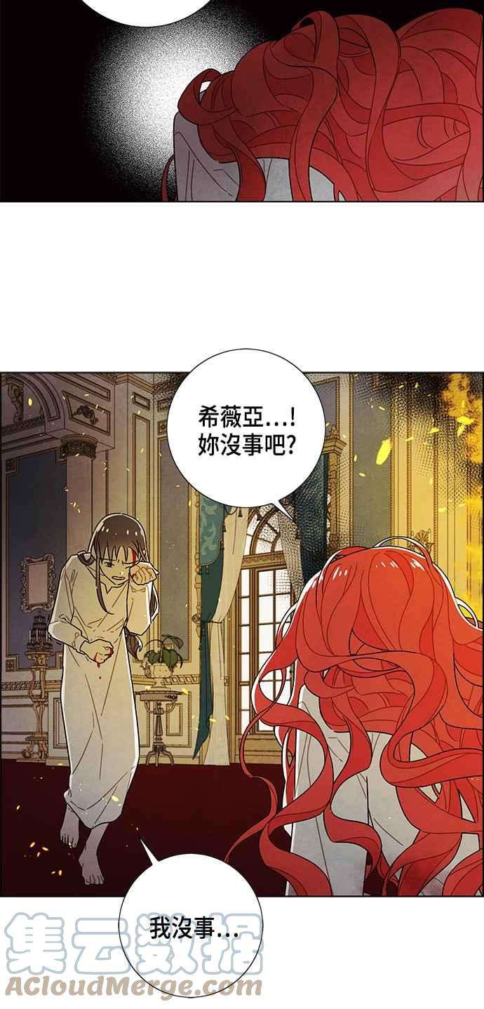 我夺走了公爵的初夜71话