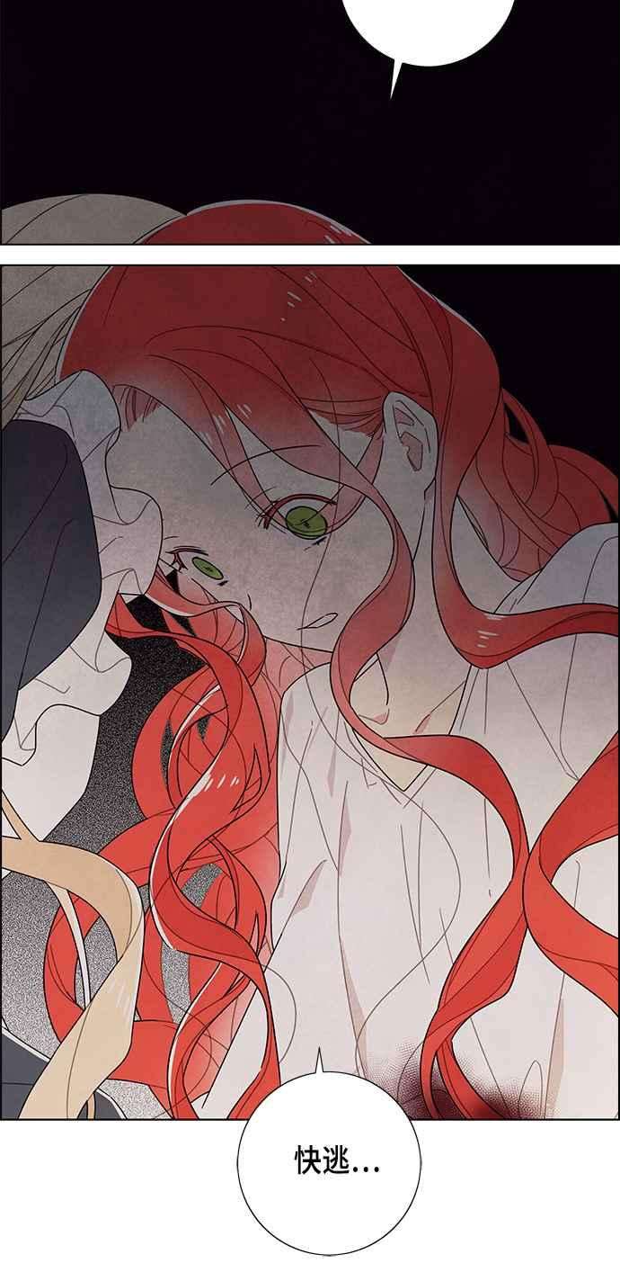 我夺走了公爵的初夜71话