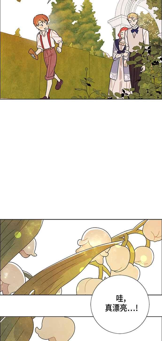 我夺走了公爵的初夜78话