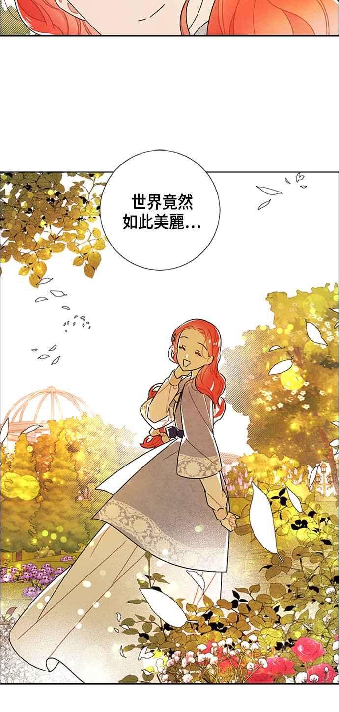 我夺走了公爵的初夜78话