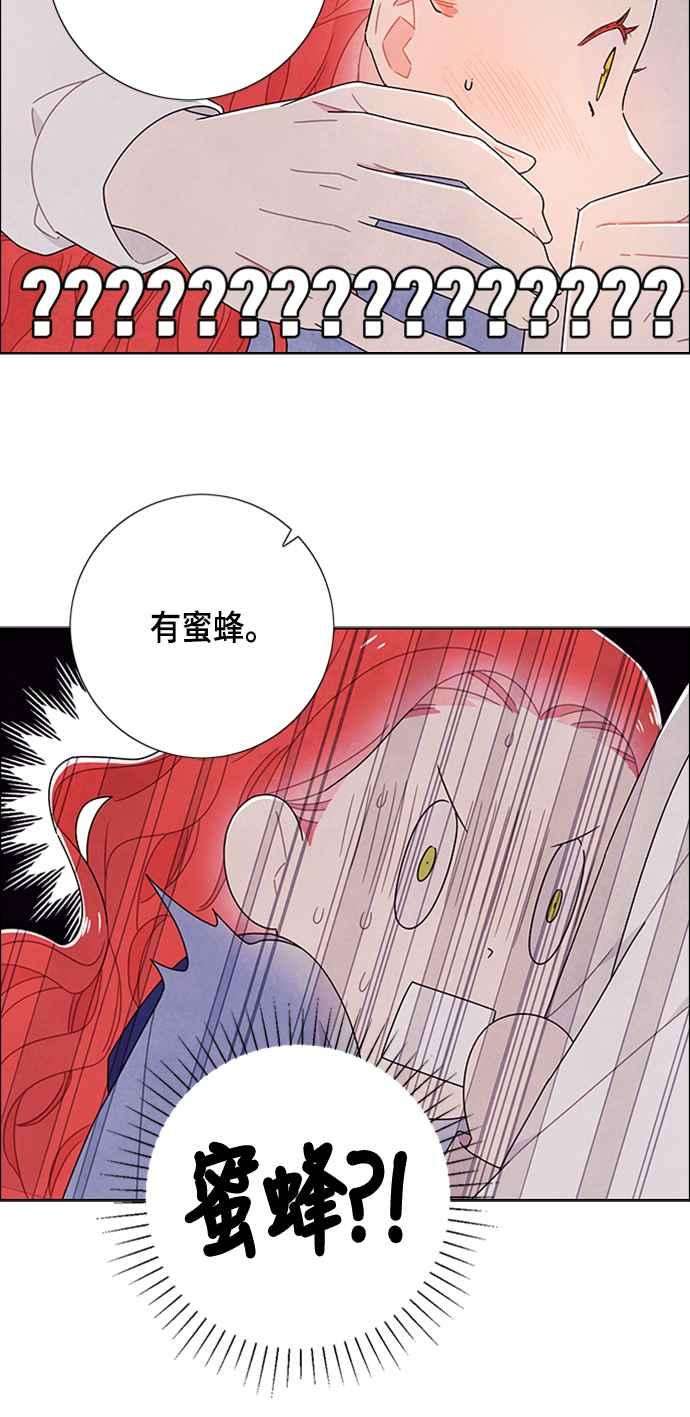 我夺走了公爵的初夜78话