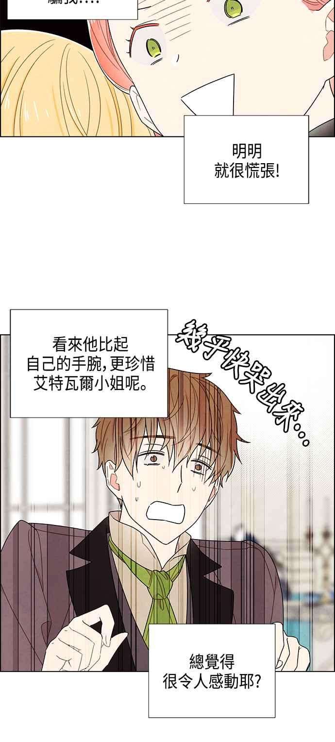 我夺走了公爵的初夜80话