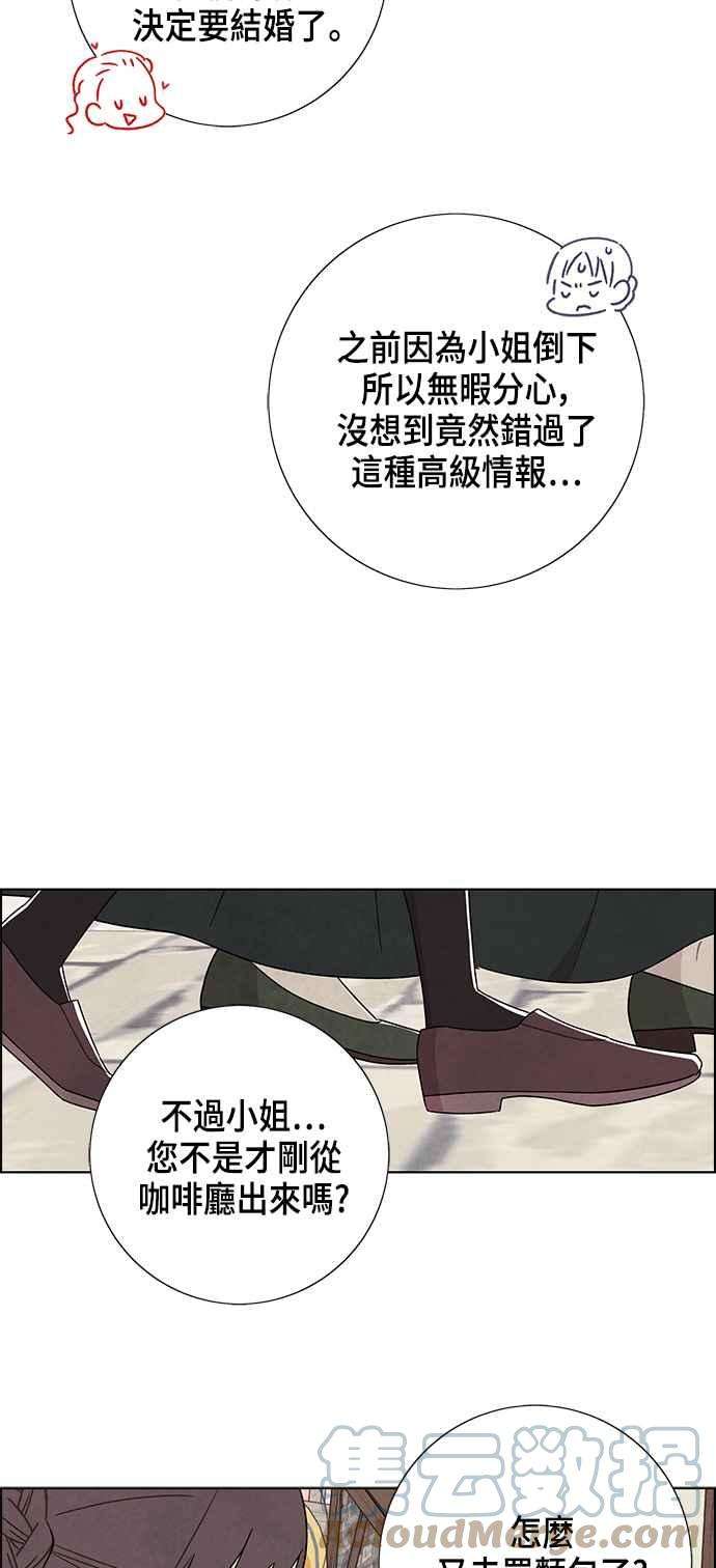 我夺走了公爵的初夜80话
