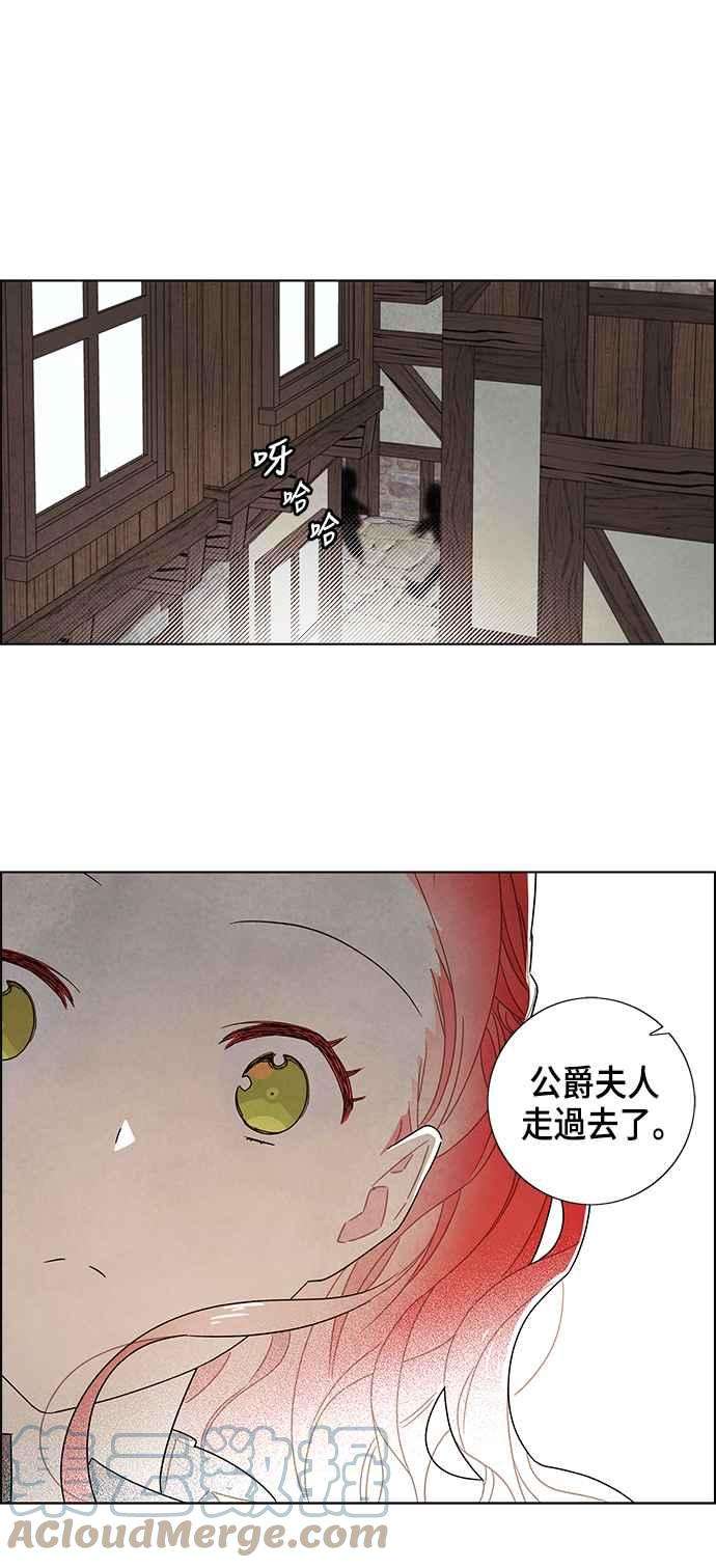 我夺走了公爵的初夜80话