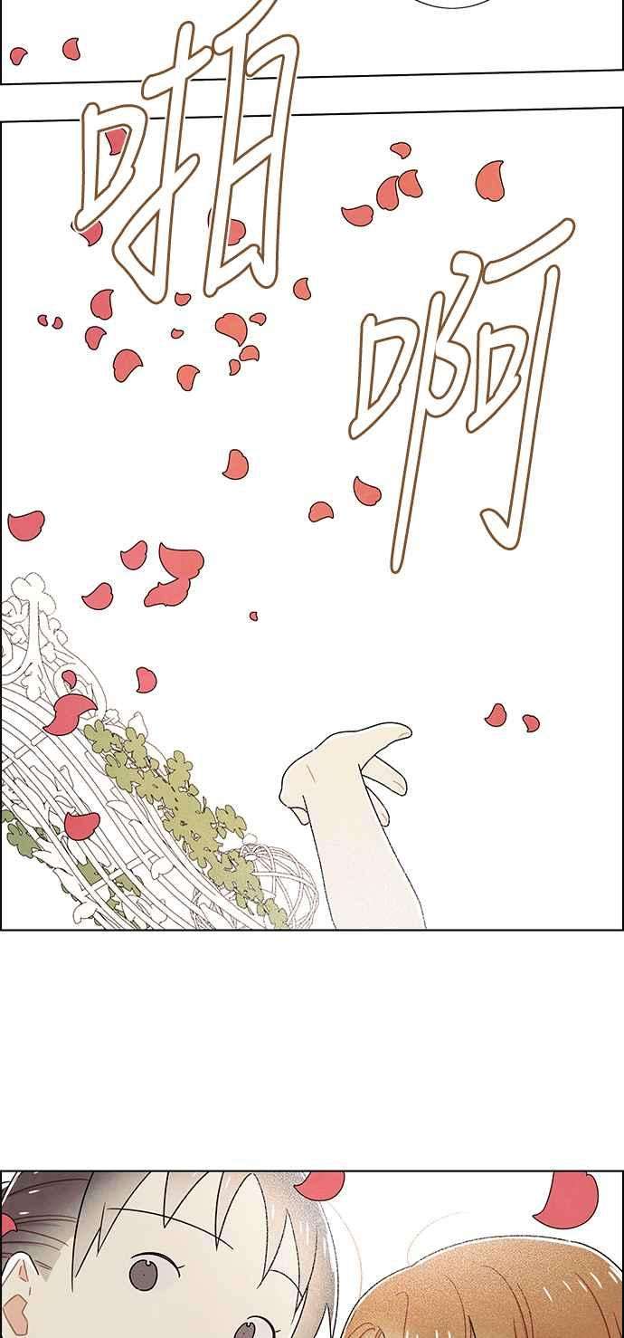 我夺走了公爵的初夜84话