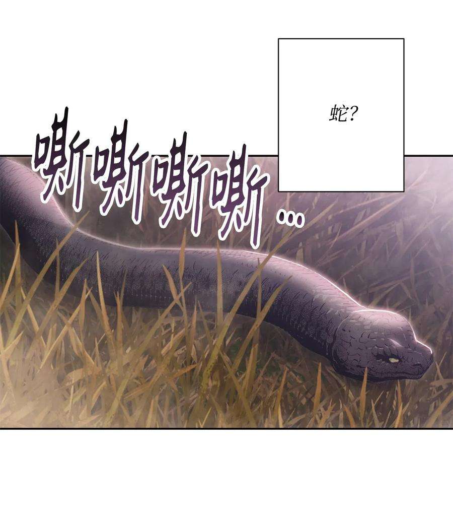 从1级开始的异世界骑士93 饲养场