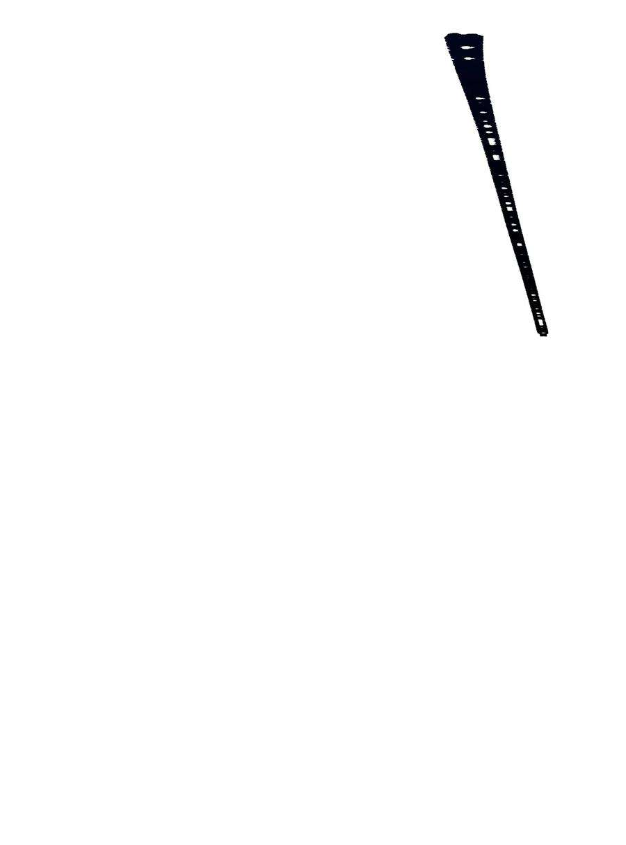 从1级开始的异世界骑士184 变故