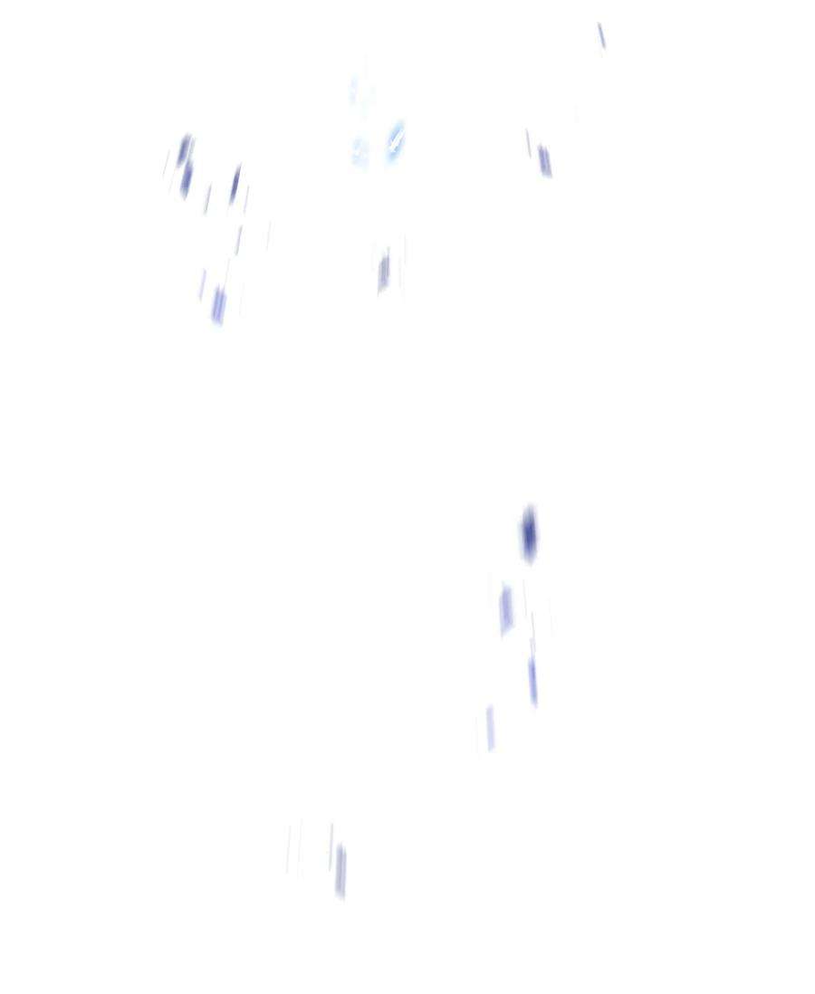 从1级开始的异世界骑士184 变故