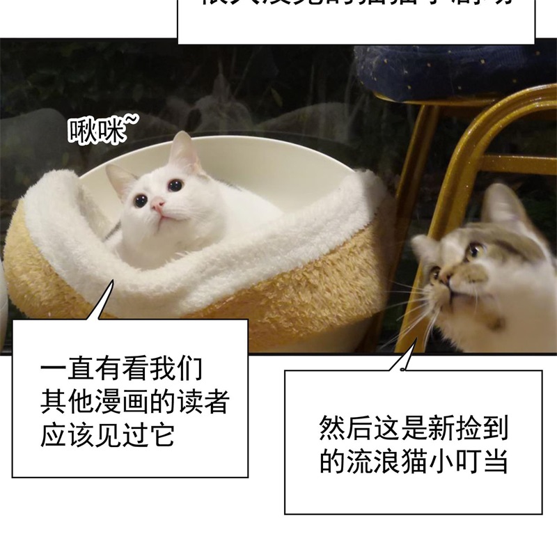 要被吃掉了026我跟你没完
