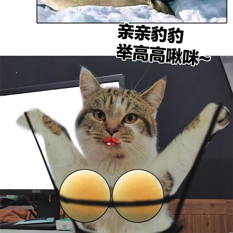 要被吃掉了026我跟你没完