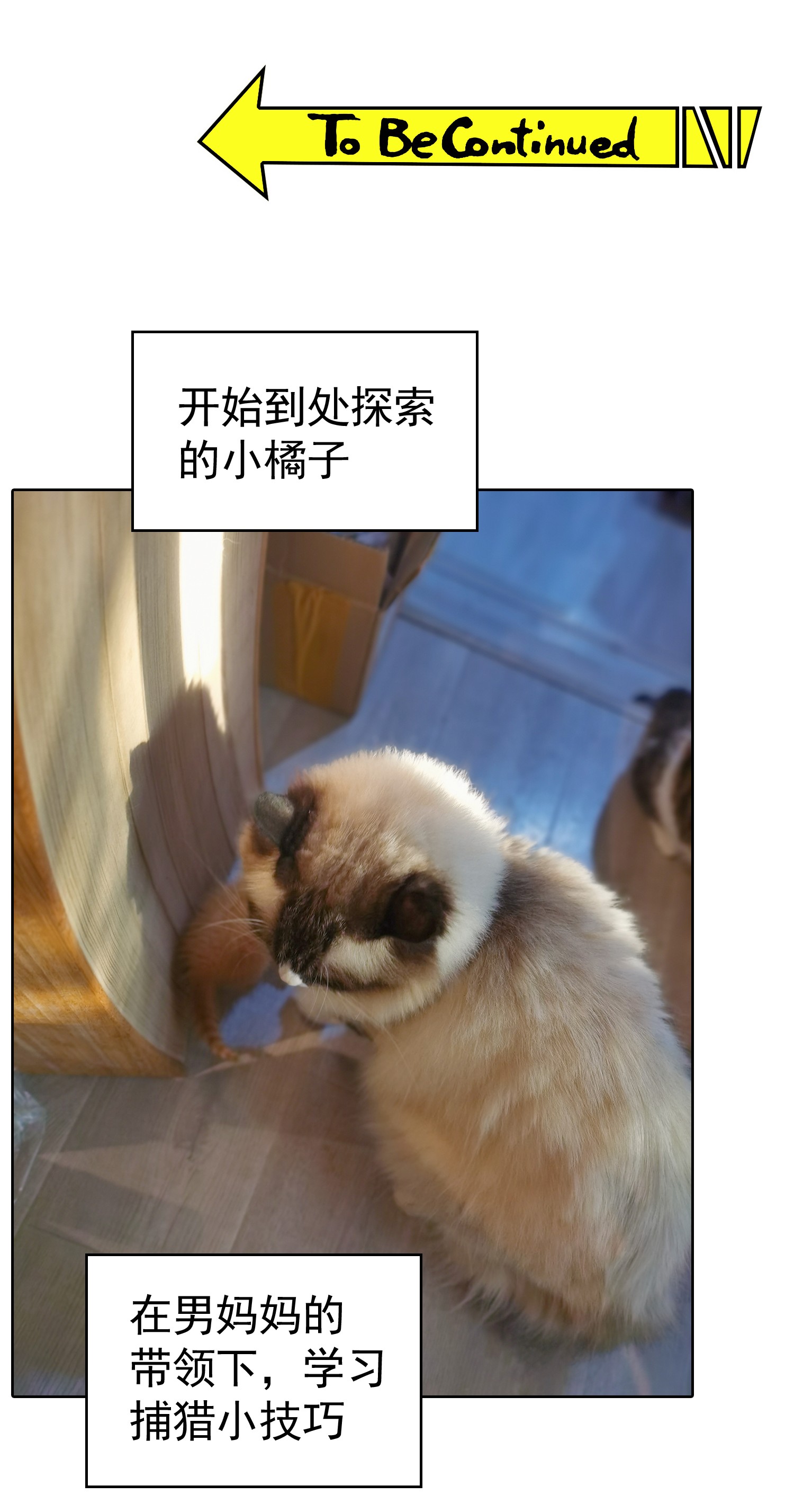 要被吃掉了43 幸好受伤的不是你