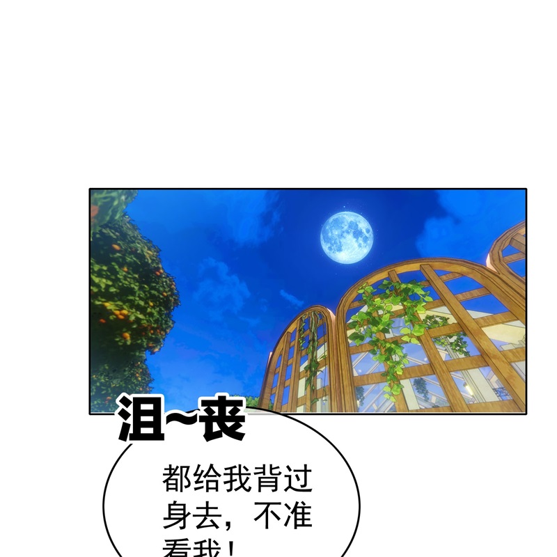 要被吃掉了85对月思春的野猫