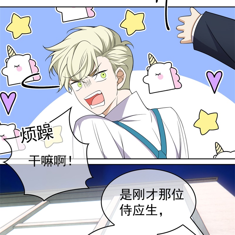 要被吃掉了85对月思春的野猫