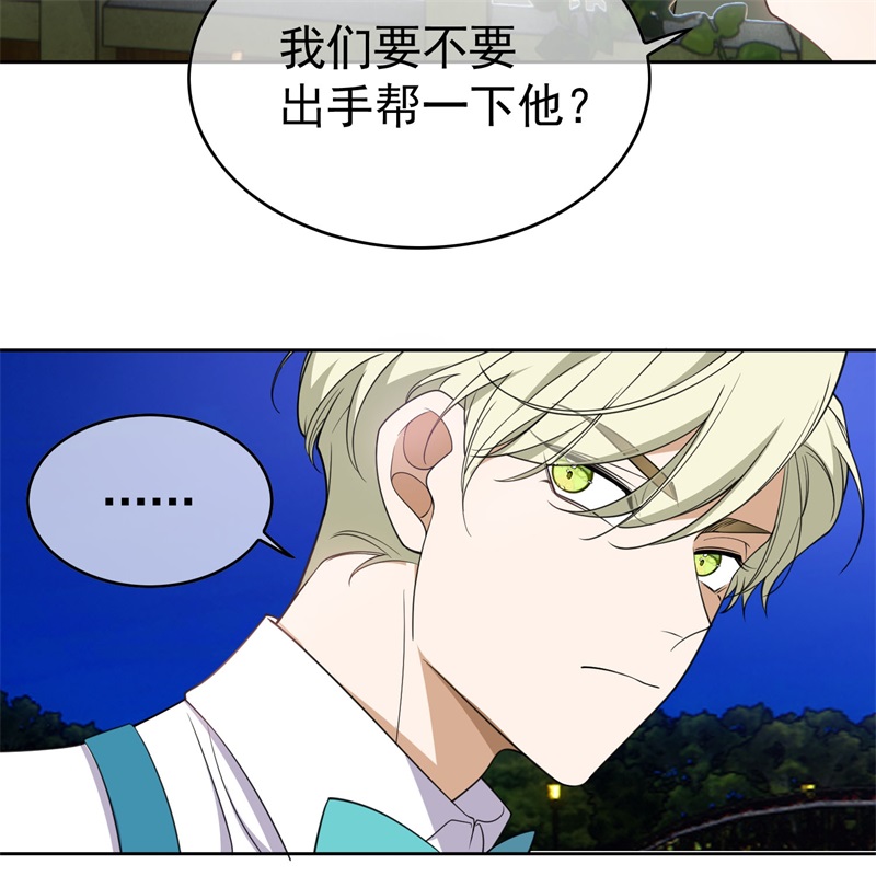 要被吃掉了85对月思春的野猫