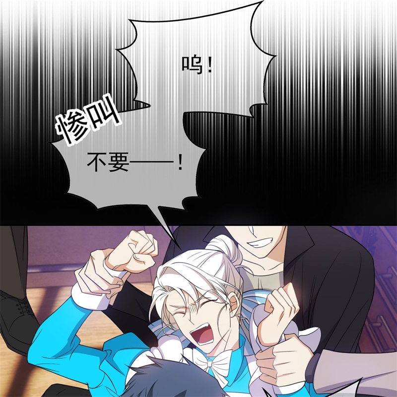 要被吃掉了85对月思春的野猫
