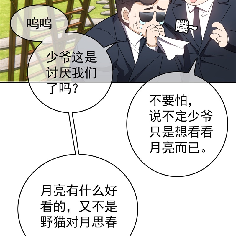 要被吃掉了85对月思春的野猫