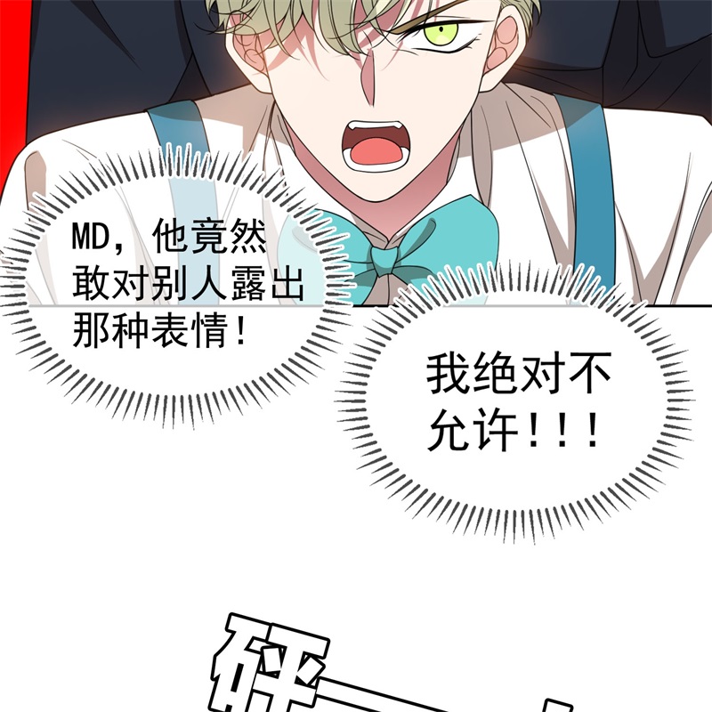 要被吃掉了85对月思春的野猫