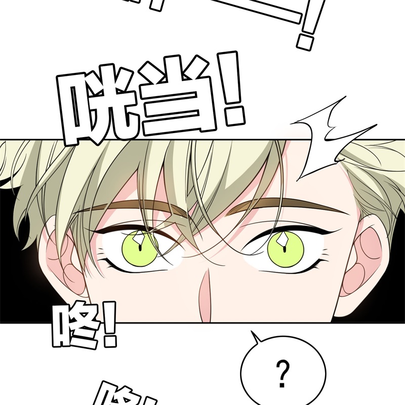要被吃掉了85对月思春的野猫