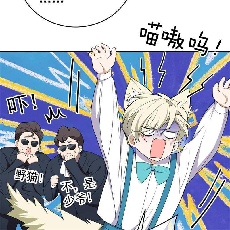 要被吃掉了85对月思春的野猫