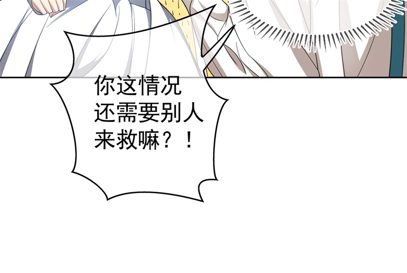 要被吃掉了85对月思春的野猫