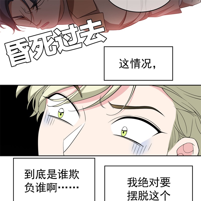 要被吃掉了85对月思春的野猫