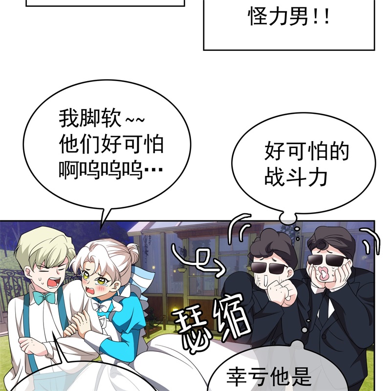要被吃掉了85对月思春的野猫