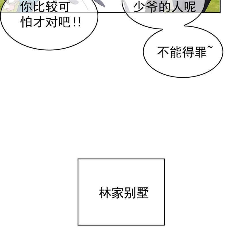 要被吃掉了85对月思春的野猫