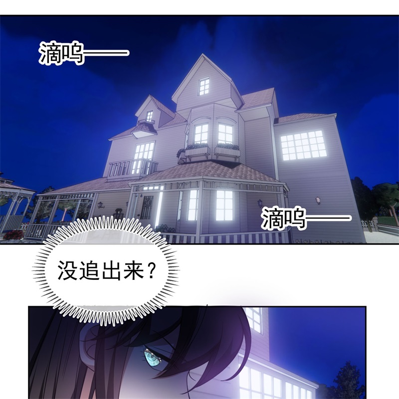要被吃掉了85对月思春的野猫