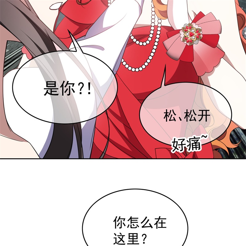 要被吃掉了85对月思春的野猫
