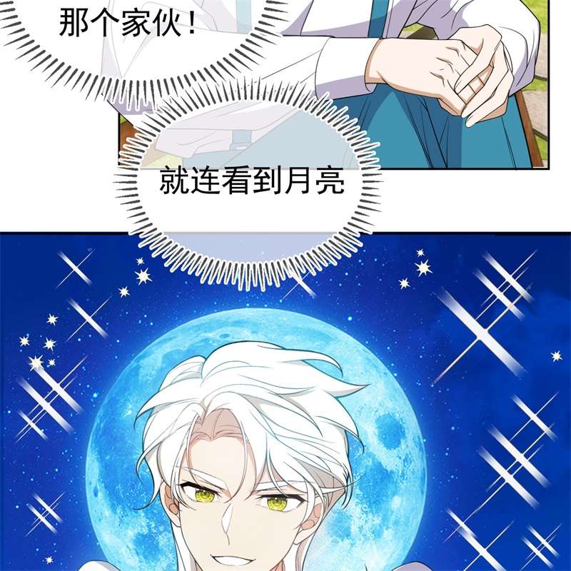 要被吃掉了85对月思春的野猫