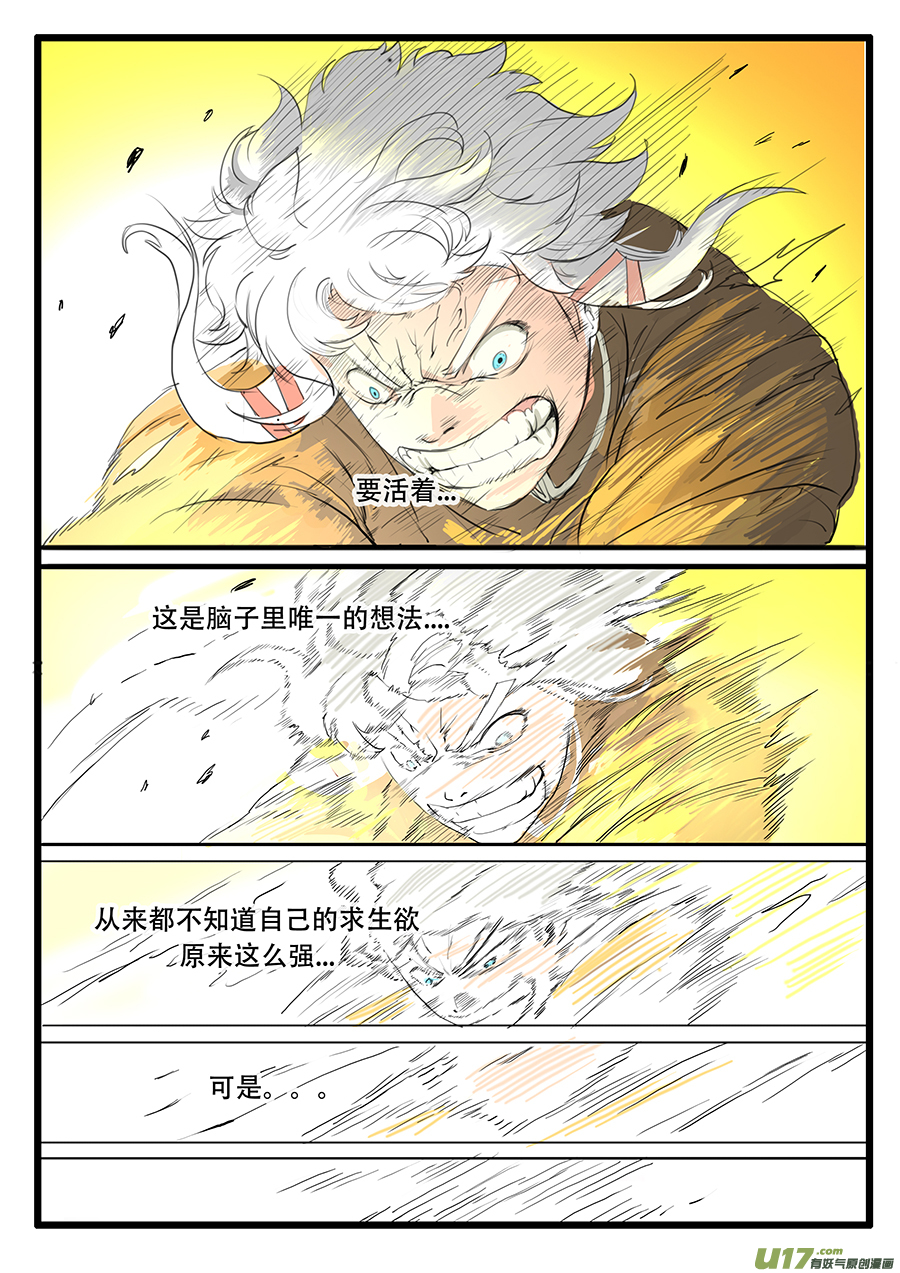 大神纪生命的律动