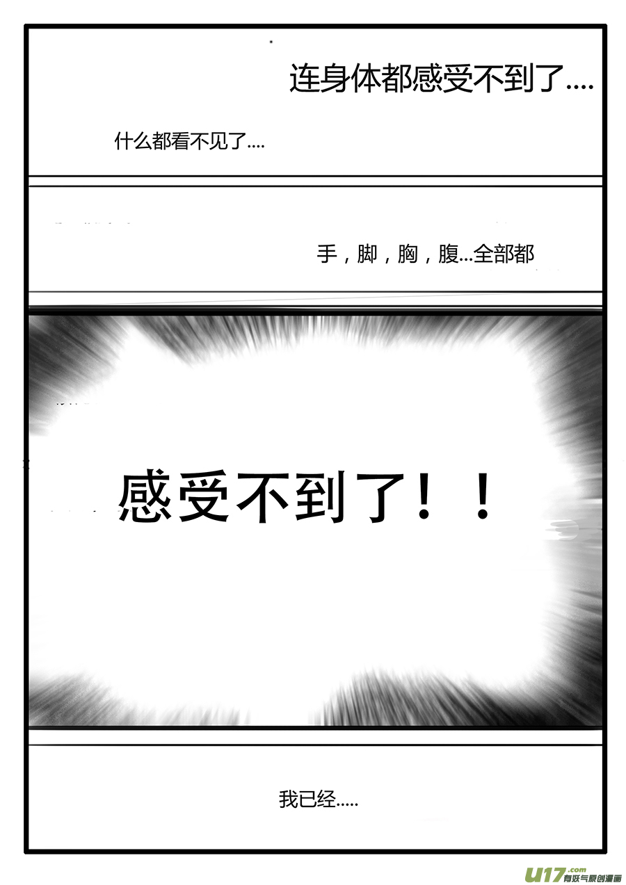大神纪生命的律动