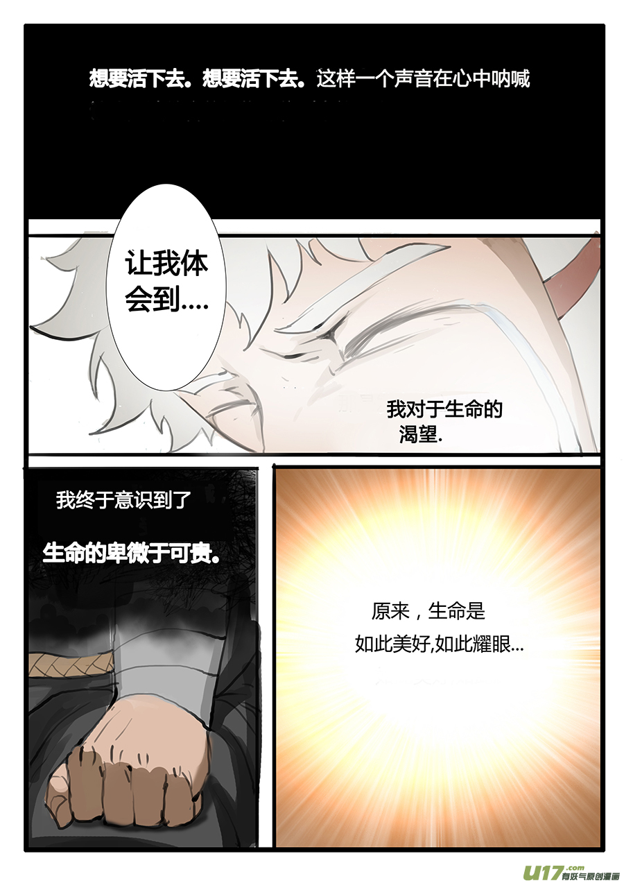 大神纪生命的律动