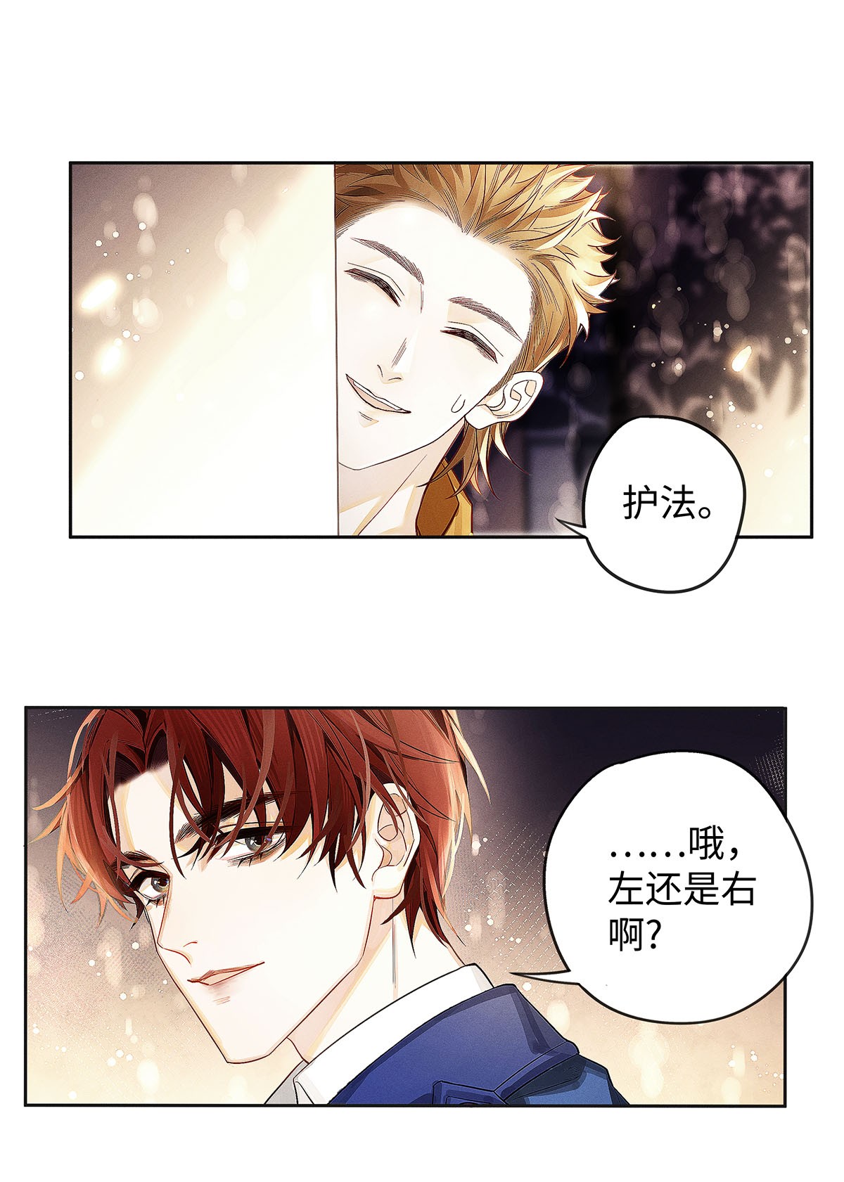 解药06 智商堪忧的总护法