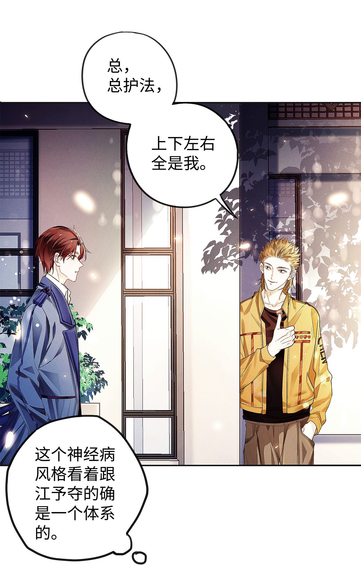 解药06 智商堪忧的总护法