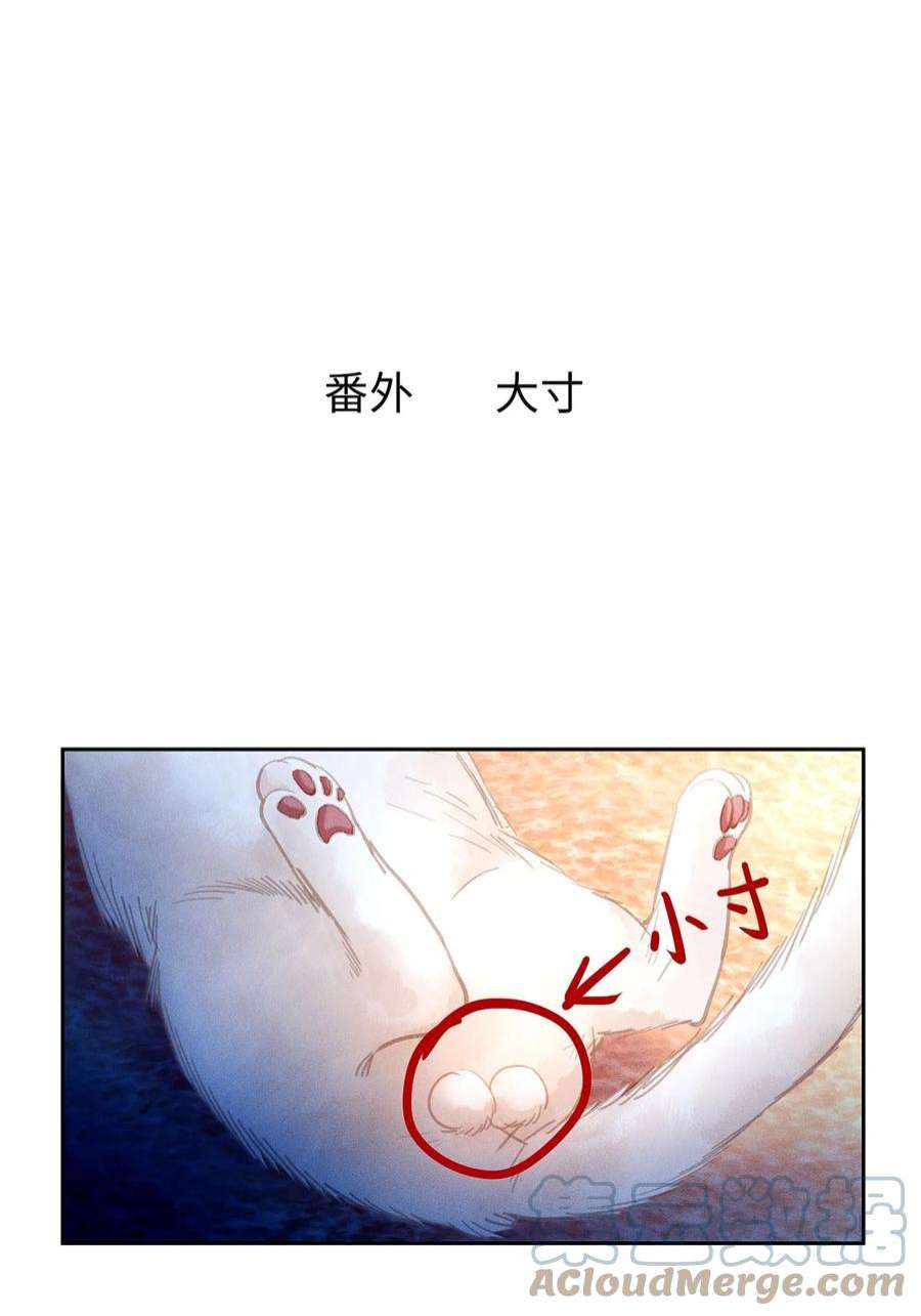 解药58 大寸