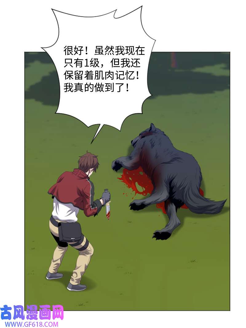 升级才是王道6 杀狼