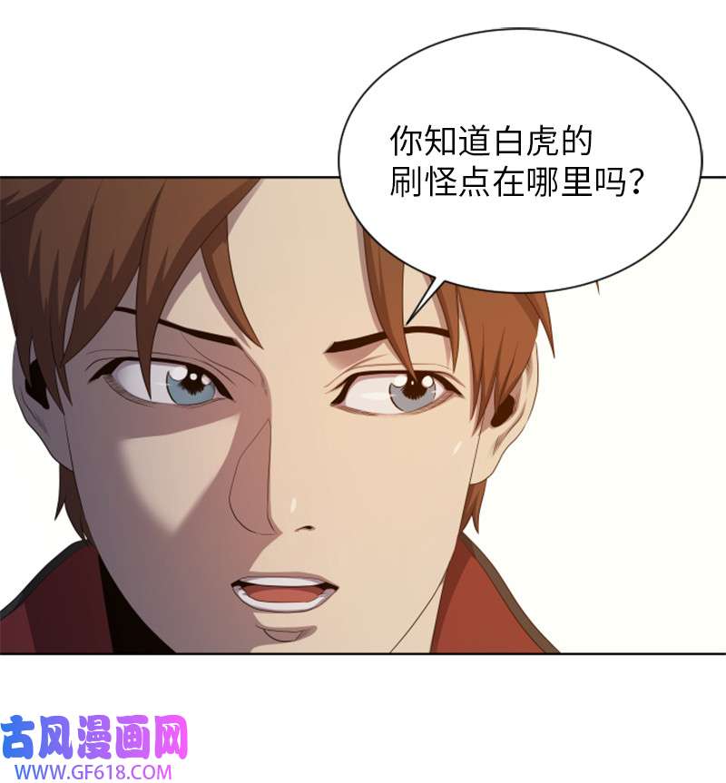 升级才是王道8 佩仑