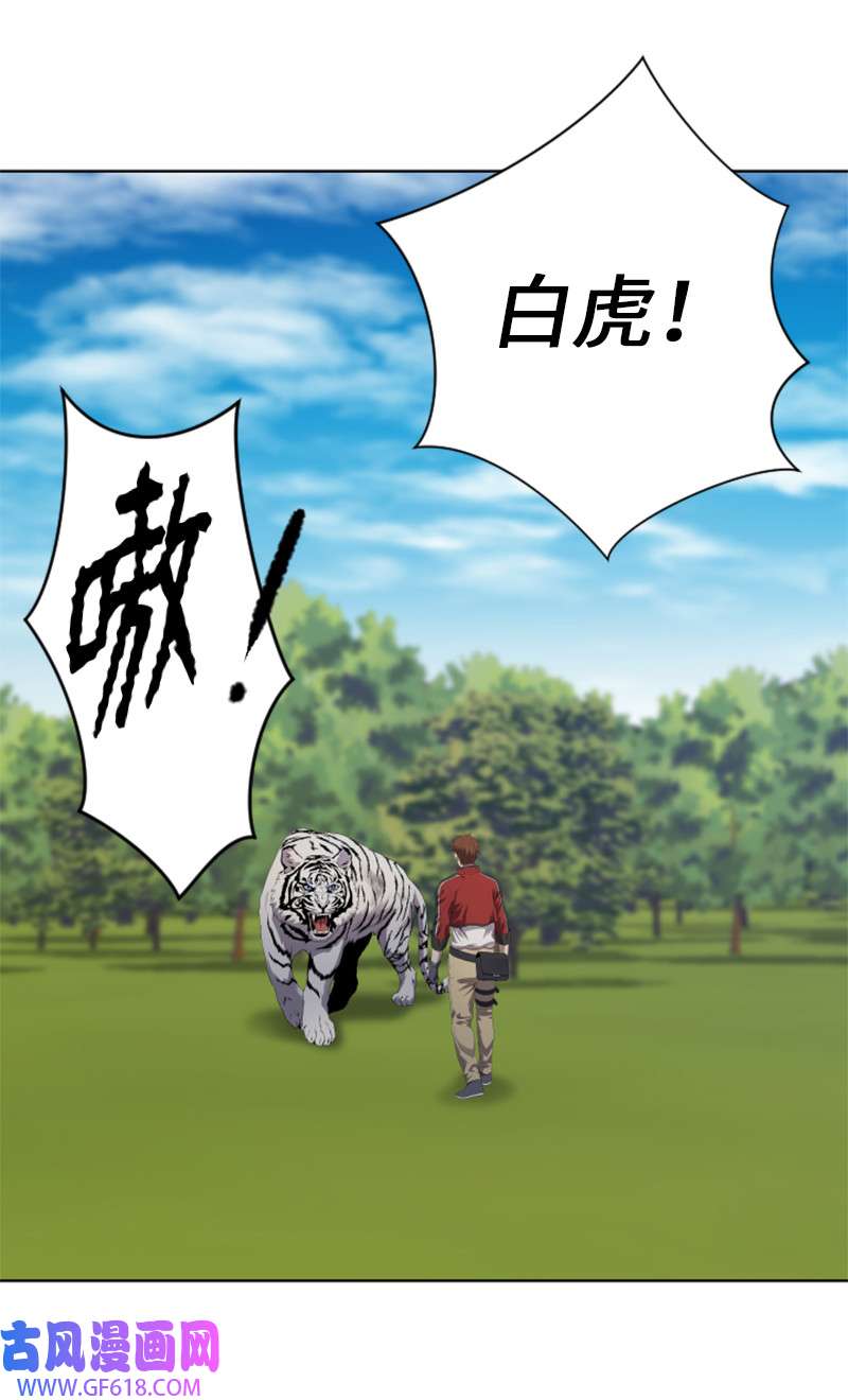 升级才是王道9 智取关键道具