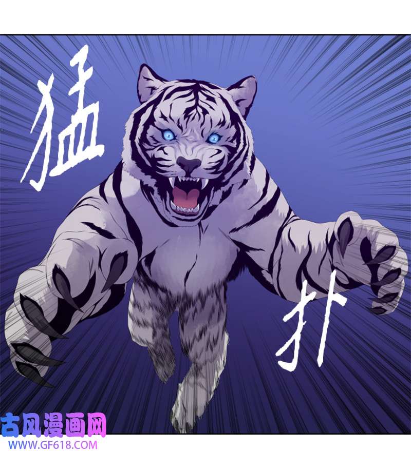 升级才是王道10 猎杀白虎