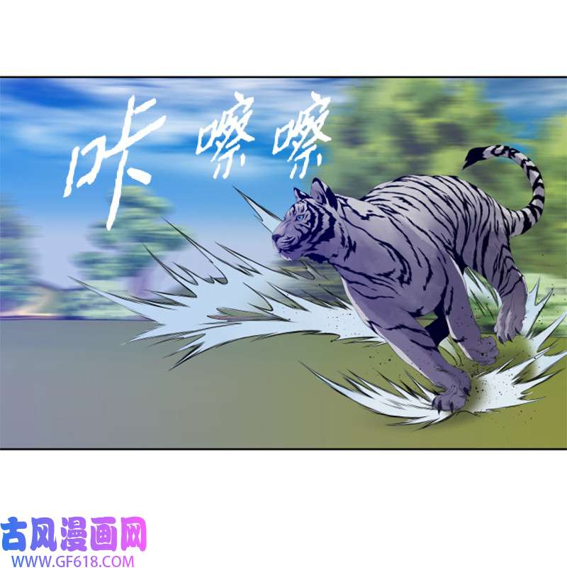 升级才是王道10 猎杀白虎