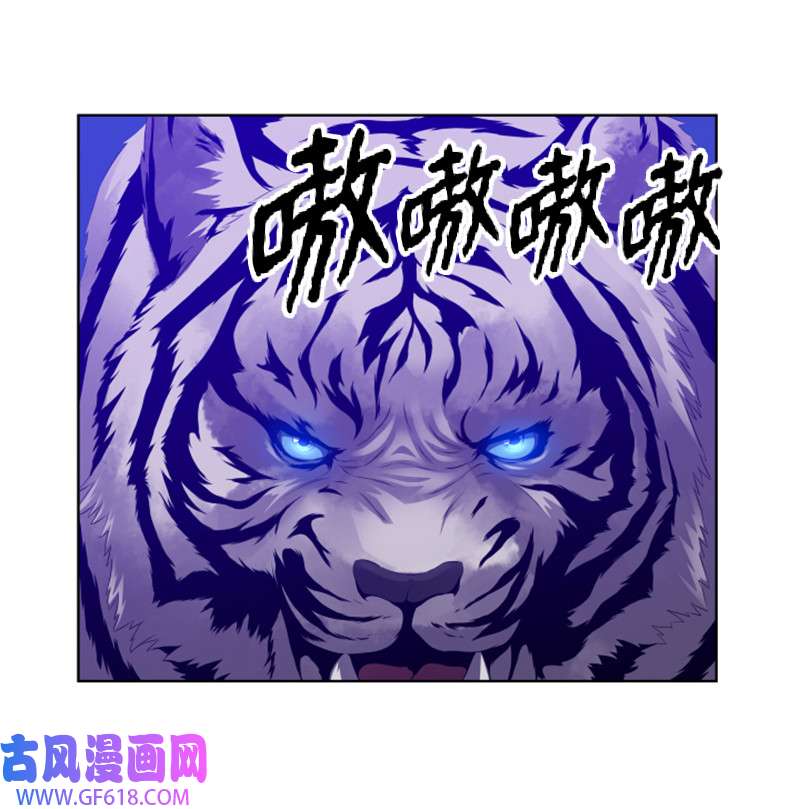 升级才是王道10 猎杀白虎