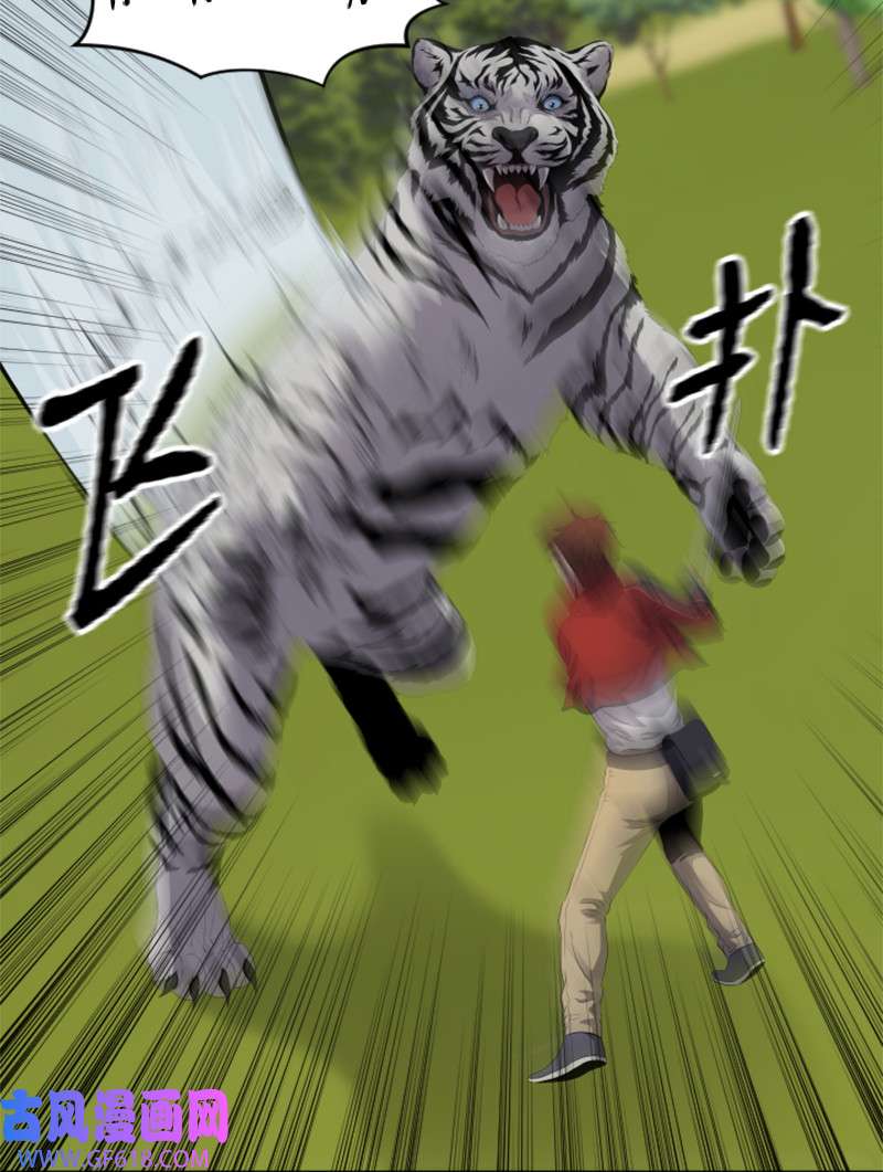 升级才是王道10 猎杀白虎
