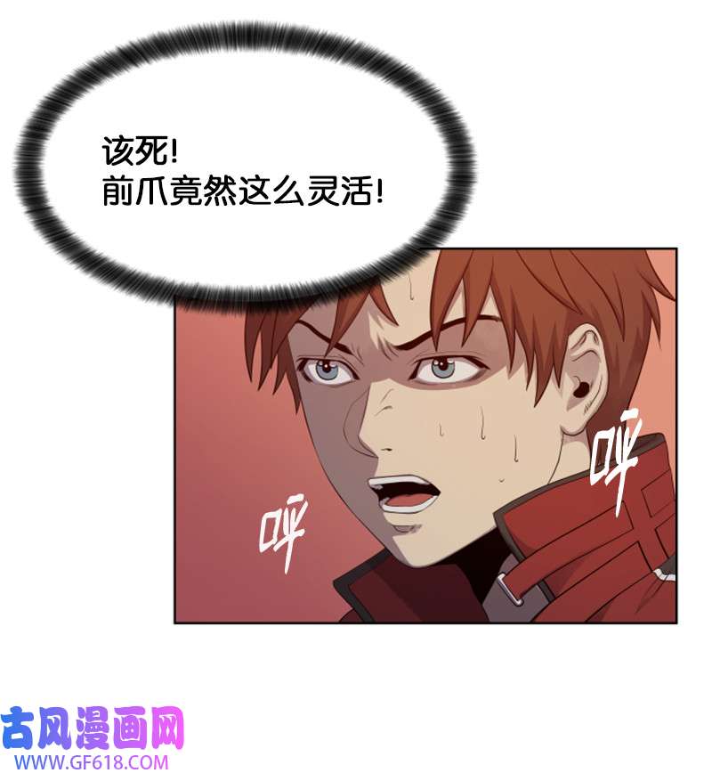 升级才是王道10 猎杀白虎