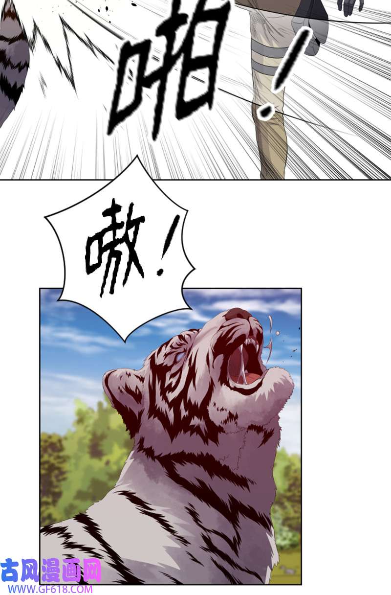 升级才是王道10 猎杀白虎