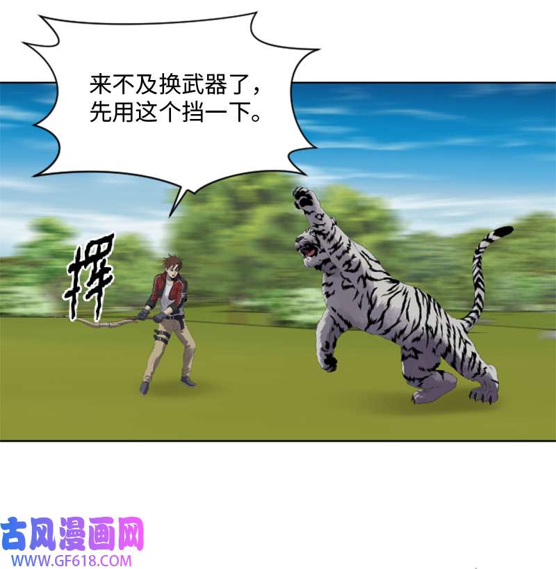 升级才是王道10 猎杀白虎