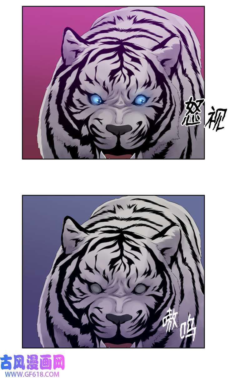 升级才是王道10 猎杀白虎