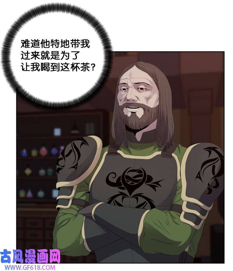 升级才是王道12 佩仑的心意
