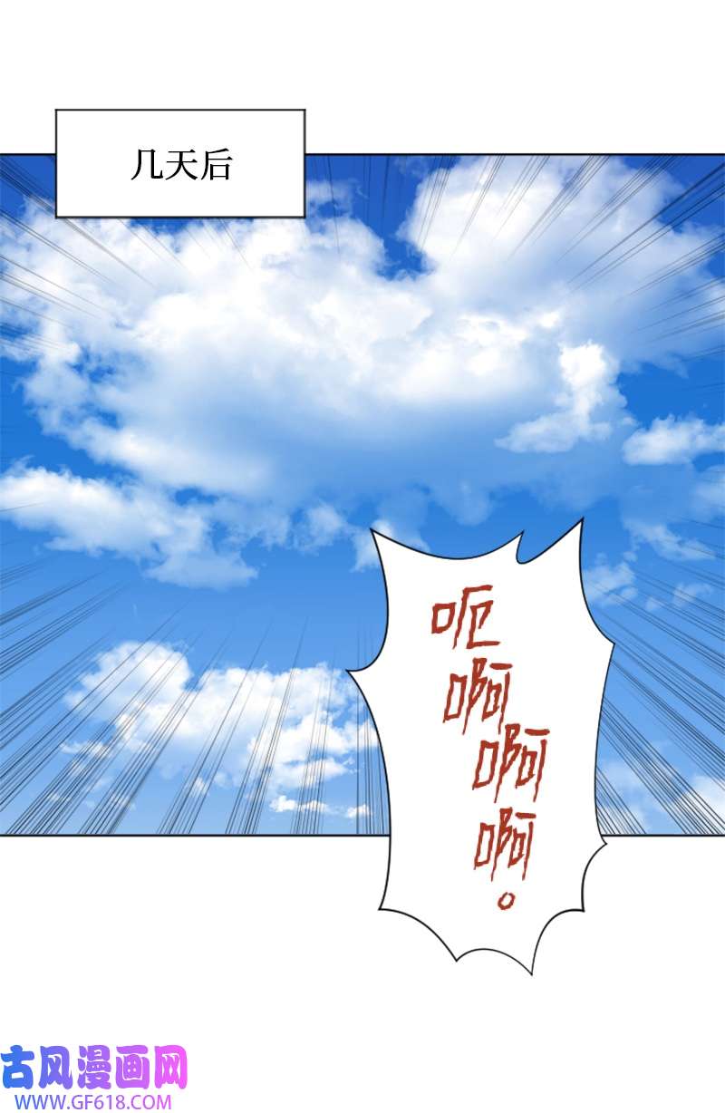 升级才是王道42 同伴